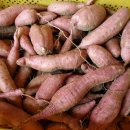 땅끝황토 이미지