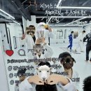 강남주짓수파크오피셜짐