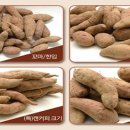 춘자농장 이미지