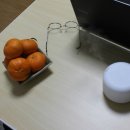 웅이네농장 이미지