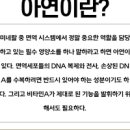 아연 효능과 부작용 하루 권장량 이미지