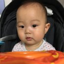 장보고민물장어