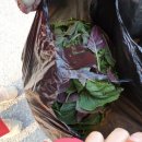 한울타리농장 이미지