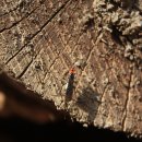 새로이농장 이미지