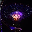 더베이호텔(The Bay Hotel) 이미지