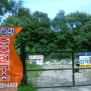 효선이네 Daum카페
