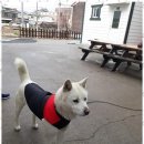 오늘여기펜션 이미지