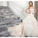 산호동418 이미지