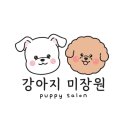 강아지 미장원 이미지
