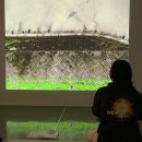 승혜목장 | 탑텐,예비군,집,부산 현대미술관, Mood.