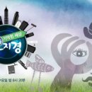요지경세상