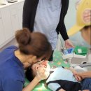 서울튼튼키즈치과의원 이미지