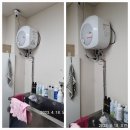 개털 깍는 강산이네 이미지