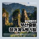 부산출발 장가계 패키지 여행 총정리(날씨 비용 후기)