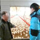 눌왕리농장 축산신문