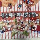 보라네민박 이미지