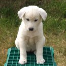 건영축산 이미지