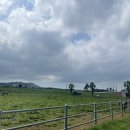 금오름농장 이미지