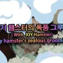 그루밍조이 이미지