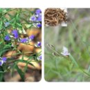 중원건강약국 이미지