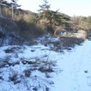 강림면376 이미지