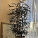 동양산모터스 이미지