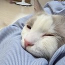 헬로우 - 원주시 무실로 29 | 헬로우