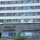 더브레인코어영어학원 | 다산 유아영어 추천 브레인나우 남양주다산점 연년생 남매 체험 후기