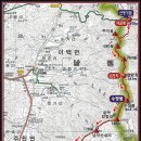 메아리레포츠