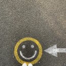 보현유통 이미지