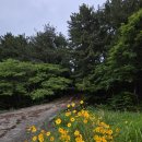 거제황토파라스파찜질방 | 남파랑길 25코스 (탑포마을~거제파출소)