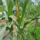 석구농장 이미지