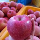 욱이네 농장 이미지