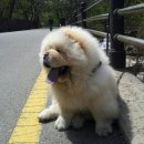 무지개다리 이미지