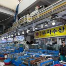 신일회수산 | [대천 맛집] 대천항수산시장 31, 32 신일수산 - 방어회, 매운탕 식사 | 가격, 솔직후기 | 횟집 추천...