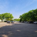 미사뚝방산책로 | 경기도 당일치기 하남 미사리조정경기 (주차 / 먹거리 / 메타세콰이어길 외)