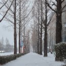 청어람학원 이미지