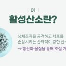 참빛에너지