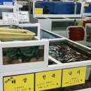 활어회포장 이미지