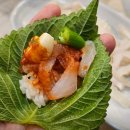 울산정자참가자미 이미지