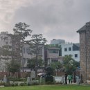 사람의 인 생 하찮고 별볼일 별게 없다는 점을 잘 알지만 왜 사는 것일까???! 이미지