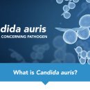 태일메딕스 이미지