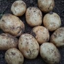 원호농장(1) 이미지