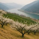 섬진농장 이미지