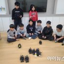 늘봄 이미지