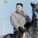 신동-120 이미지