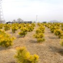 보광농원 이미지