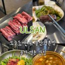 오늘도한우 | 울산 북구 맛집 오늘도한우 울산명촌점 투쁠한우 후기