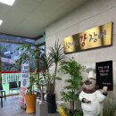 왔다강장어 이미지