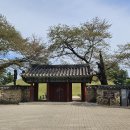 역사문화대장정 (옥산서원.대릉원.경주 명소)(2026.4.15) 이미지